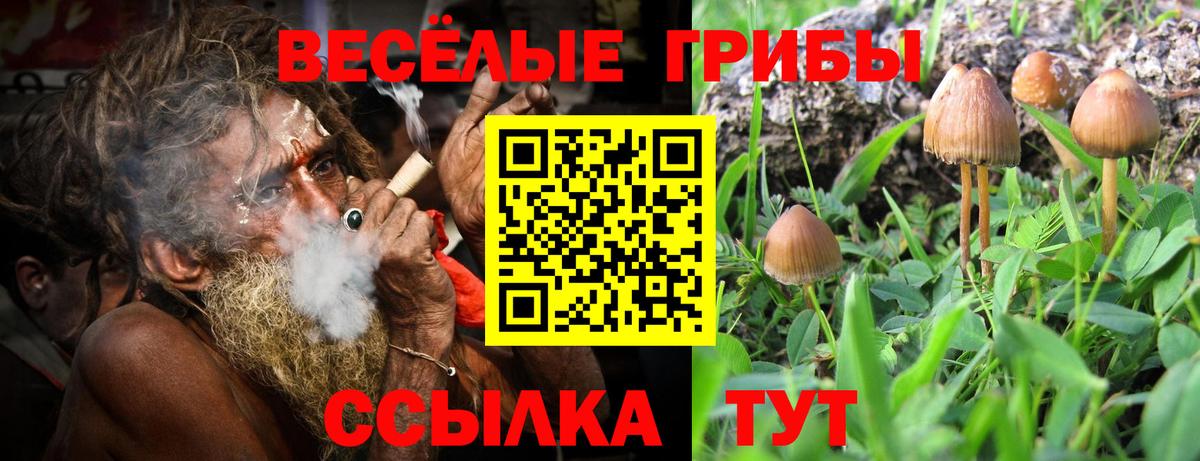 Псилоцибиновые грибы MAGIC MUSHROOMS  Вход с VPN  Дедовск  Псилоцибиновые грибы Psilocybe 